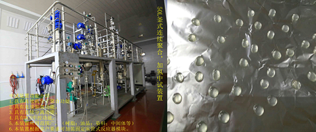 祝賀國內(nèi)首套釜式連續(xù)加氫中試成套裝置一次出料成功！.jpg